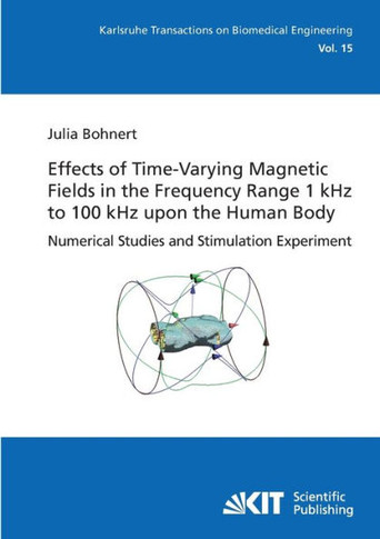 Effects of Time-Varying Magnetic Fields in the Frequency Range 1 kHz to 100 kHz upon the Human Body: Numerical Studies and Stimulation Experiment
