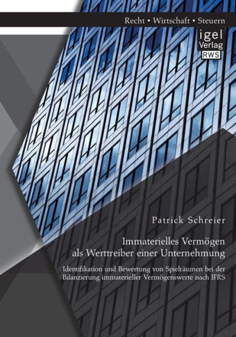 Immaterielles Vermögen als Werttreiber einer Unternehmung. Identifikation und Bewertung von Spielräumen bei der Bilanzierung immaterieller Vermögenswe