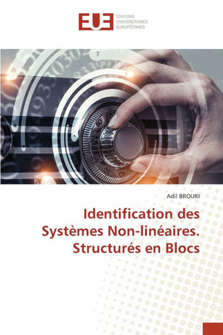 Identification des Systèmes Non-linéaires. Structurés en Blocs
