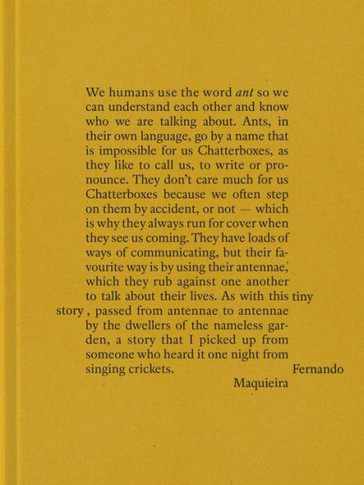 Fernando Maquieira: A Tiny Story