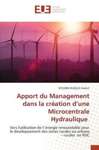 Apport du Management dans la création d'une Microcentrale Hydraulique