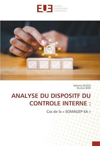 Analyse Du Dispositf Du Controle Interne