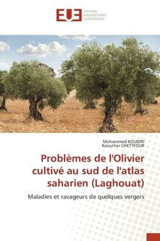 Probl?es de l'Olivier cultiv?au sud de l'atlas saharien (Laghouat)