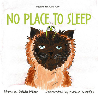 No Place To Sleep