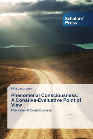 Phenomenal Consciousness: A Conative-Evaluative Point of View