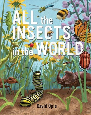 All The Insects In The World