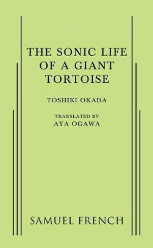A Sonic Life Of A Giant Tortoise