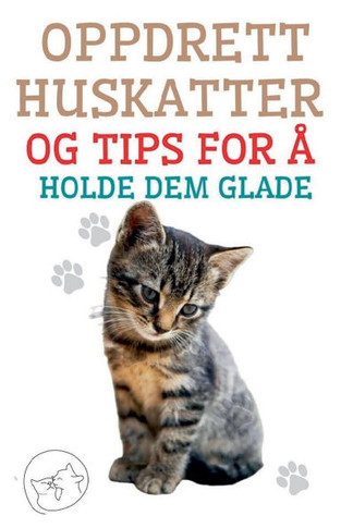 Oppdrett Huskatter og Tips for ? Holde dem Glade