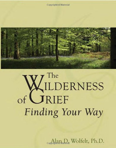 The Wilderness Of Grief: Finding Your Way (Understanding Your Grief)