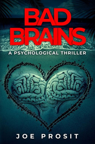 Bad Brains: A Pyschological Thriller