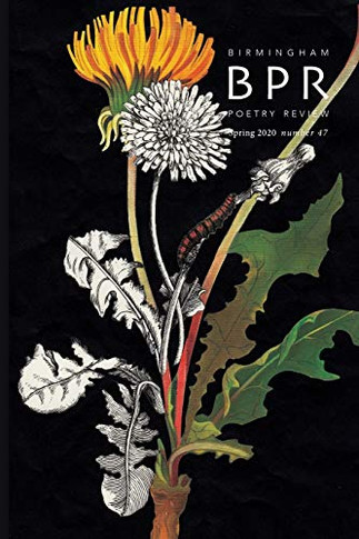 Birmingham Poetry Review (2020)