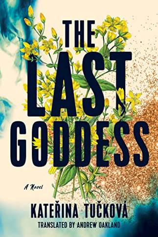The Last Goddess: A Novel - Paperback
