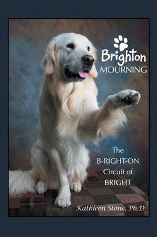 Brighton Mourning: The B-Right-On Circuit of Bright