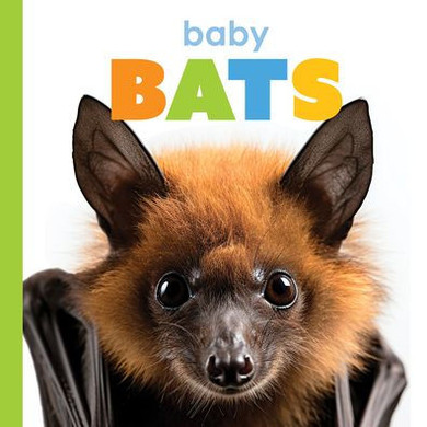 Baby Bats