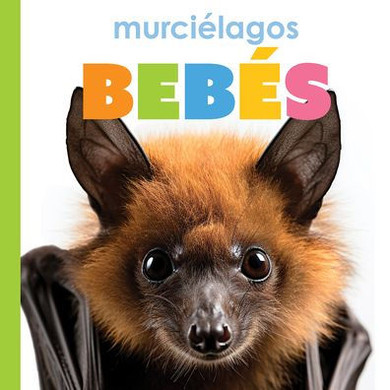 Murci?lagos Beb?s