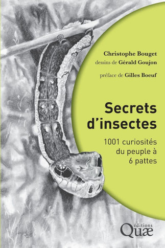 Secrets d'insectes: 1001 curiosit?s du peuple ? 6 pattes