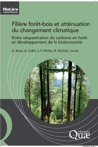 Fili?re for?t-bois et att?nuation du changement climatique: Entre s?questration du carbone en for?t et d?veloppement de la bio?conomie