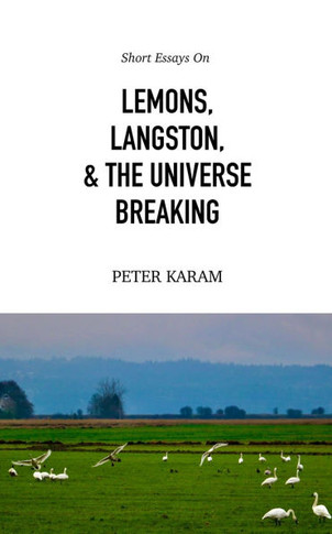 Short Essays on Lemons, Langston, & the Universe Breaking