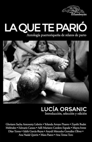 La que te pari?? Antolog?? puertorrique?? de relatos de parto.