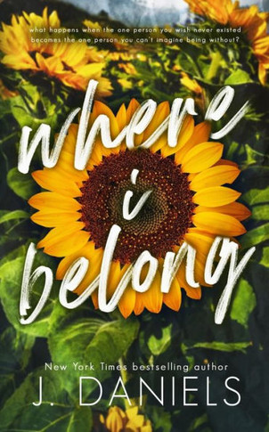 Where I Belong: A Small Town Enemies to Lovers Romance