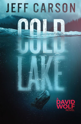 Cold Lake: David Wolf Mystery Thriller Series