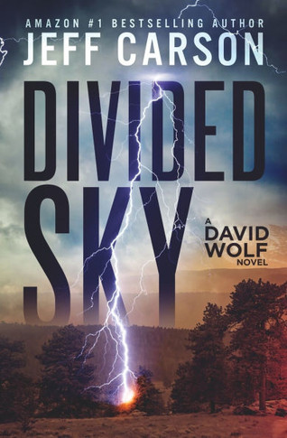 Divided Sky: David Wolf Mystery Thriller Series