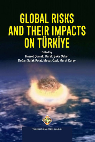 Global Risks and Their Impacts on T??kiye