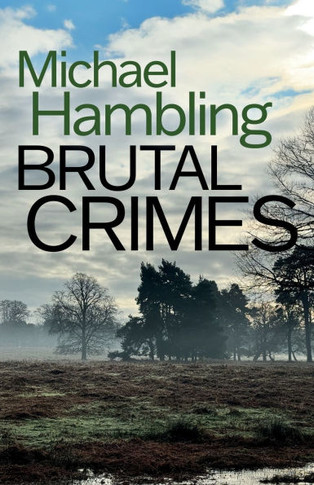 Brutal Crimes: a British crime mystery full of twists