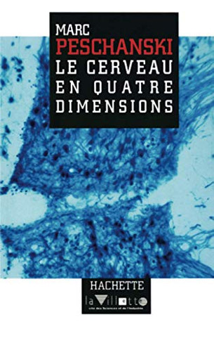 Le cerveau en quatre dimensions