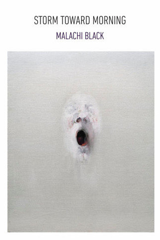 Storm Toward Morning