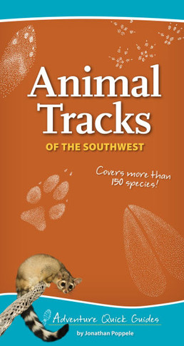 Animal Tracks of the Southwest: Your Way to Easily Identify Animal Tracks