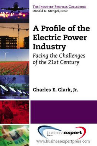 A Profile of the Electric Power Industry: Facing the Challenges of the 21st Century