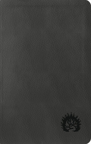 La Biblia de Estudio de la Reforma, Edici?n Condensada, Charcoal