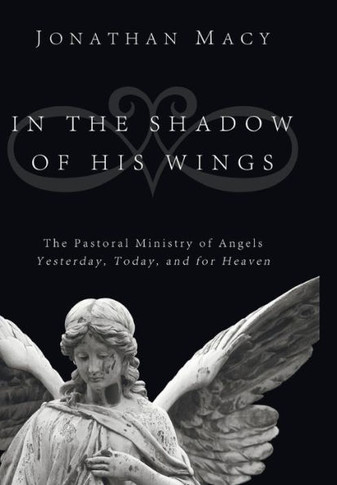 In the Shadow of His Wings : 9781498213073