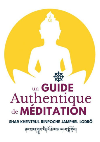Un Guide Authentique De Méditation (French Edition)
