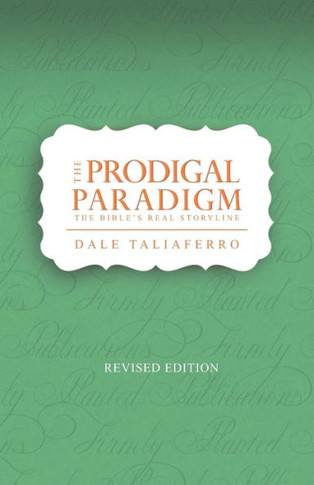 The Prodigal Paradigm : The Bible'S Real Storyline