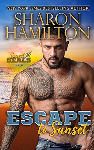 Escape To Sunset : One Night Stand Romance-Hiding From The Mob