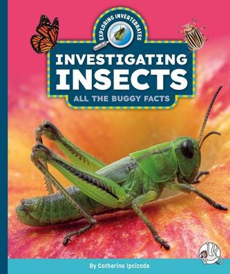 Investigating Insects: All the Buggy Facts