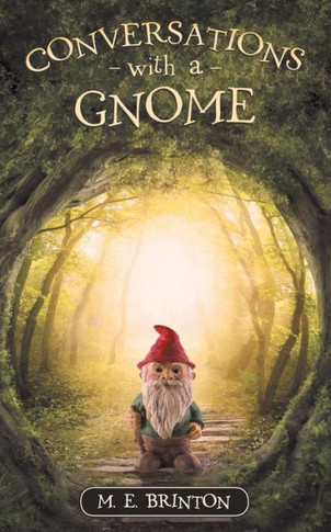 Conversations with a Gnome
