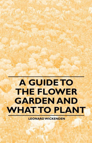 A Guide to the Flower Garden and What to Plant