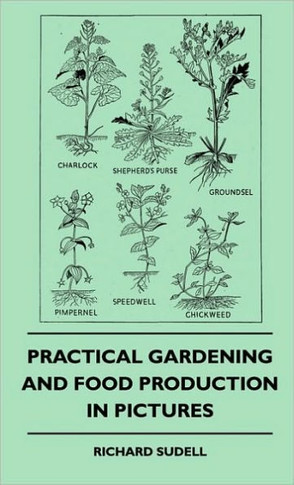 Practical Gardening And Food Production In Pictures - 9781445516288