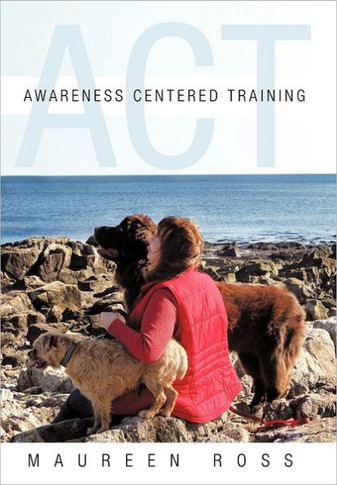 Awareness Centered Training - ACT - 9781452557557