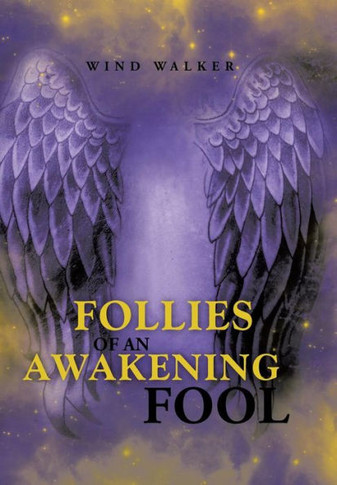 Follies of an Awakening Fool - 9781452583129