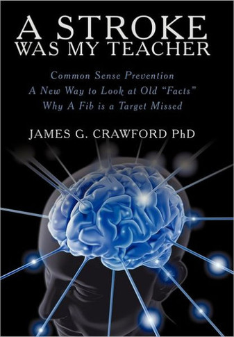 A Stroke Was My Teacher - 9781452535678