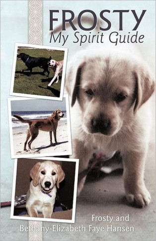 Frosty My Spirit Guide: How Changing Our Perceptions of Death Can Bring Us More Love, Joy, Happiness and Life! - 9781452539591