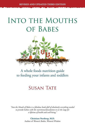 Into the Mouths of Babes: A Whole Foods Nutrition Guide to Feeding Your Infants and Toddlers - 9781452573342