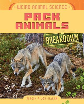 Pack Animals