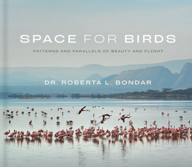 Space for Birds: Patterns and Parallels of Beauty and Flight