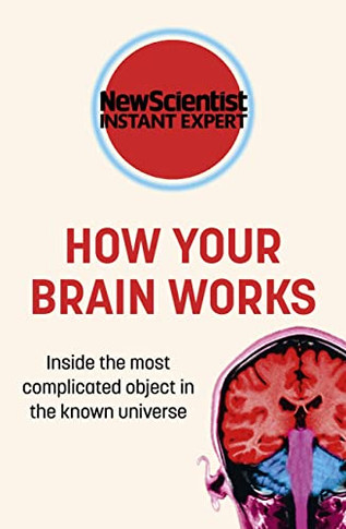 How Your Brain Works : Inside The Most Complicated Object In The Known Universe