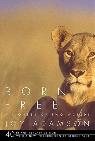 Born Free: A Lioness Of Two Worlds